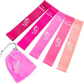 Resistance Loop Exercise Bands - Complete Set of 5 with Instruction Guide and Carry Bag
